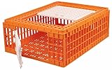 caisse de transport pour volailles  DIVERS MARQUES- Caisse de Transport Volaille 77x55x29cm