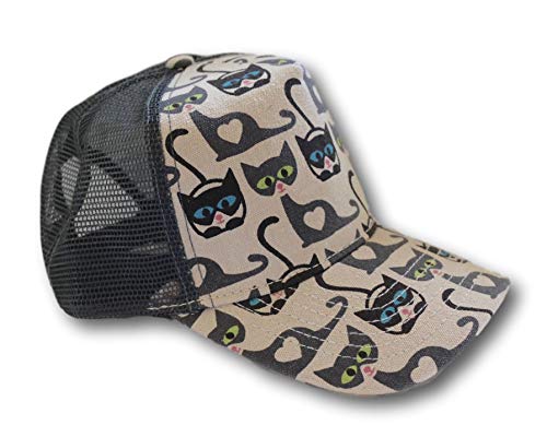 bungalow 360 Baseball Cap (Cat)