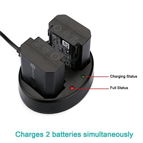 NP-FZ100 Newmowa Doppio Caricatore USB per Sony NP-FZ100,BC-QZ1 e Sony a1,Sony a6600,Alpha 9,A9,Alpha 9R,A9R,Alpha 9S,A7RIII,A7R3,a7 III