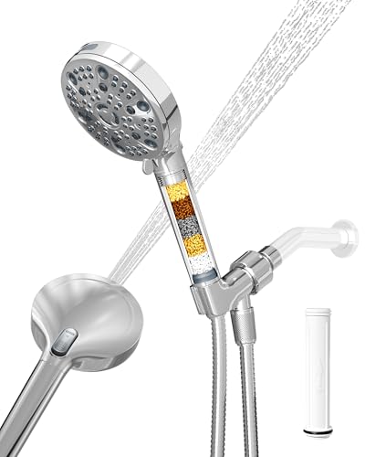 Filtered Handheld Shower Head with Multiple Spray Modes