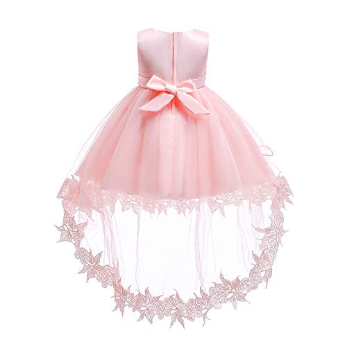 Baby Toddler Lace Dress Girls First Baptism Elegant Embroidery Wedding Party Flower Bridesmaid Dresses Up3