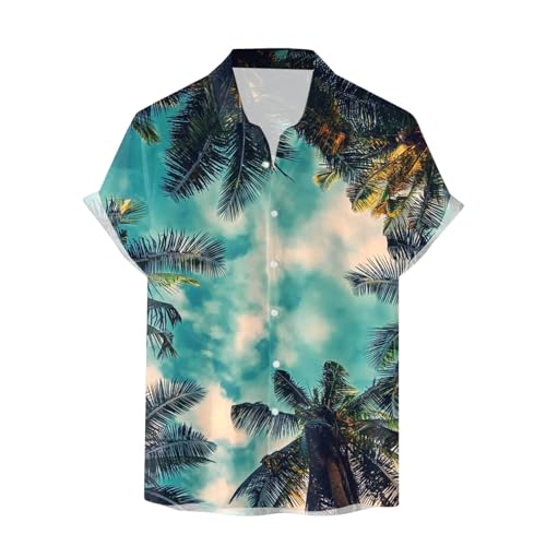Chemise à manches longues pour homme en lot de 10 t-shirts blancs en coton