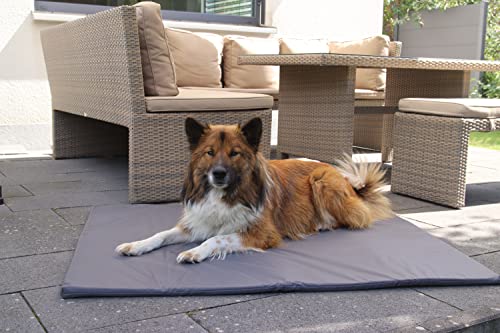 SUNNYDOGS wasserdichte Einlage für Wurfkiste | abwischbare, leichte Unterlage Wurfbox | Hunde & Katzen | Welpenaufzucht Zubehör | Matte 136 x 116 cm