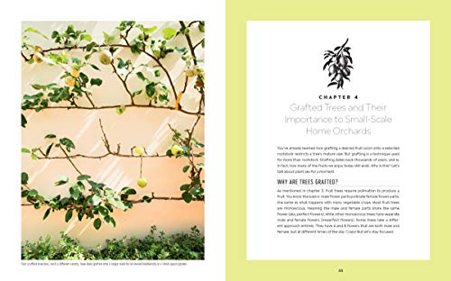 Grow Your Own Mini Fruit Garden: Planting And Tending Small Fruit Trees And Berries In Gardens And Containers #TOP4