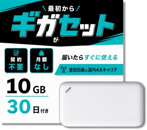 Amazon.co.jp: 国内メーカー直営【ギガセット】チャージ型 ポケット