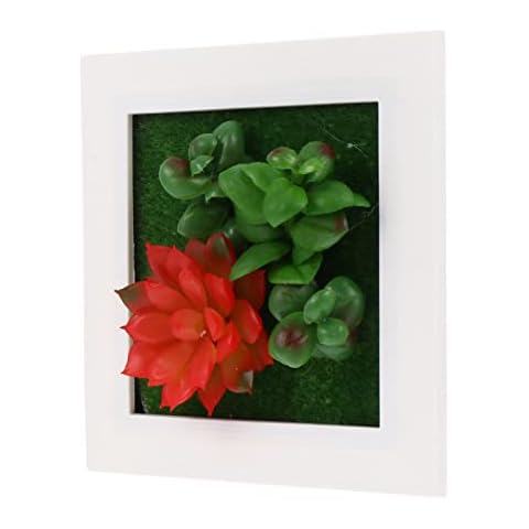 Cadre Photo Plante Artificielle Abaodam Cover