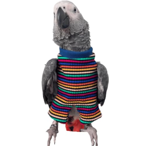 Fantasia de pássaro, traje de avião, fofo, colorido, listrado, calça, roupa cosplay, acessório para
