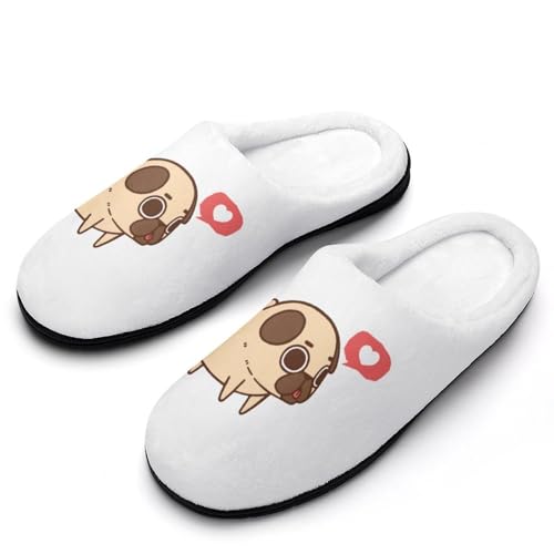 [ZKCASA] Xbp Aj Aj}  pO  GObY [V[Y   qp h  g 􂦂 ~ jp I[V[Yp 11-12i42-43j