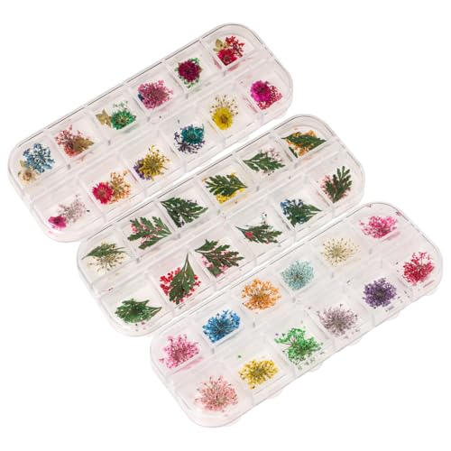 Kit de Flores Secas para Resina Zerodeko 12 Cavidades miniatura 1