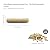 100 Pack 3/8" x 2" Wooden Dowel Pins Wood Kiln Dried Fluted and Beveled, Made of Hardwood in U.S.A.