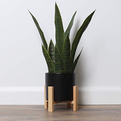 Bornbridge Artificial Snake Plant with Mid Century Plant Stand -