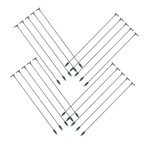 OFFSCH 20|p 嚒উ vX`bNNC~OAx ό󐫃K[fx ԂƖ؂̐T|[g