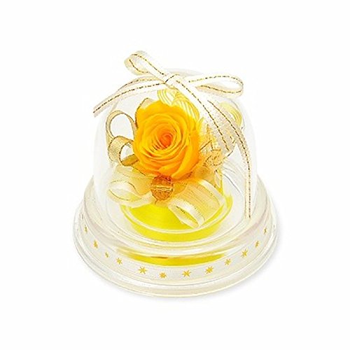 [Ini\G] vU[uht[ a΃~jh[ 11 Vg J[ CeA LO j ̓ v[g Mtg Ɣ@̂