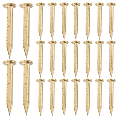 Hoement 100�� �� �ی^ �B �q���W �~�j �q���W �^�J �B �����p �{�b�N�X ���� �A�N�Z�T���[ ���ߋ� �ی^ �w�b�h 1/20 X2 5 ����