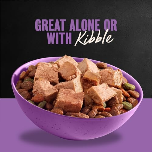 Image of Cesar Classic Loaf in Sauce Wet Dog Food, Filet Mignon, 3.5 oz, 24 Count | Made in USA, Real beef #1 ingredient, no fillers /added sugar /artificial flavors, use as meal or topper, easy peel trays
