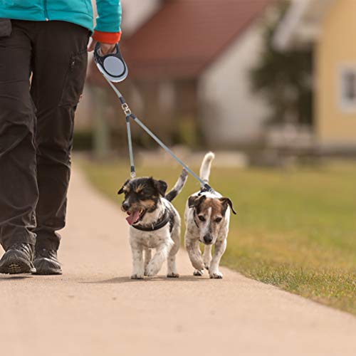 KOOLTAIL Doppelte, einziehbare Hundeleine – robuste, doppelköpfige 5 m ausziehbare Hundeleine für kleine, mittelgroße und große Hunde, Spaziergänge, 2 Hunde bis zu 50 kg