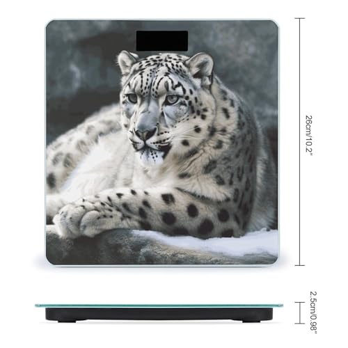 Báscula Digital Snow Leopard de Vidrio Templado para Baño miniatura 2