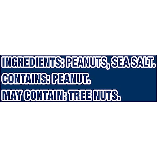 PLANTERS Dry Roasted Peanuts, Plant-Based Protein, Lightly Salted Party Snacks, Peanut Snack, 16 Oz Jar (Pack of 6)