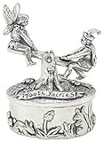 Pewter Box - Tooth Fairies on Seesaw
