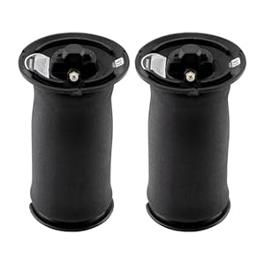 DZWDY 2 x Luftfeder Hinten BMW E61