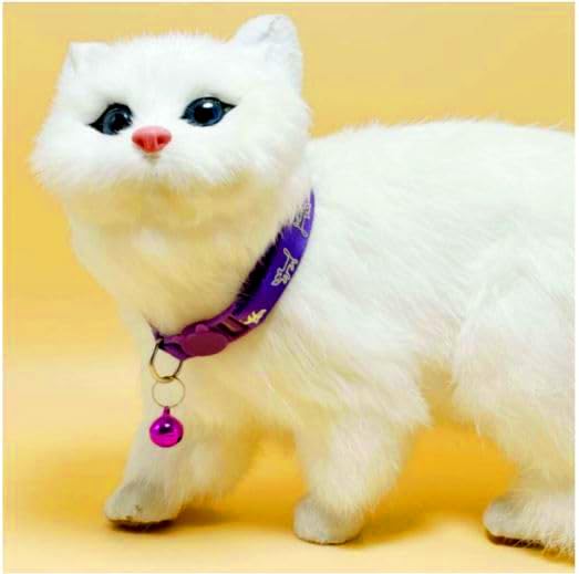 RvPaws Reflective Collar Glow-in-The-Dark Visibility Reflective Light-up cat Collar for Small Breeds Puppy Kitten Rabbit Neck Belt 10 MM - Multicolor (B0D4M3SF2J) Amazon Price History, Amazon Price Tracker