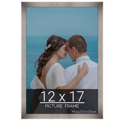 wallsthatspeak 12x17 Stainless Picture Frame for Puzzles Posters Photos or Artwork