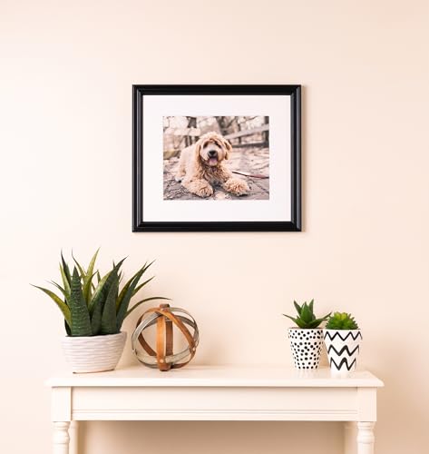 ArtToFrames 16x21 inch Black Stain on Red Leaf Maple Wood Picture Frame, 2WOM0066-60823-YBLK-16x21