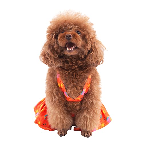 Image of CuteBone Dog Bikini Dress, Stylish Swimsuit Costume for Small Dogs, Comfortable & Adjustable Puppy Bathing Suit, Soft Outfit Pet Apparel for Beach, Pool and Summer Fun DB29L