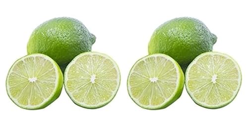 ې C(A) 1×2 (܂Ƃߔ) (VandroSt)