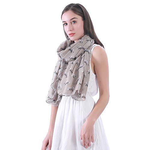 Lina & Lily Pembroke Welsh Corgi Dog Print Women's Scarf Shawl Wrap Lightweight2