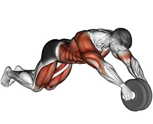 RODA PARA TREINO DE ABDOMINAL COR:AMARELO