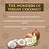 SPA CEYLON Virgin Coconut Hair Treatment Masque | Deep Conditioning | Hair Repair | Vegan & Vegetarian | Best for Dry, Very Dry & Unruly Hair