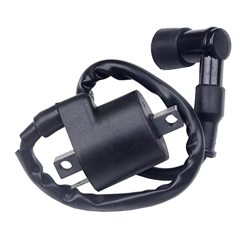 Goodbest New Ignition Coil Compatible with Polaris Xplorer 300 4x4 1996 1997 1998 1999 ATV Replace 3083923