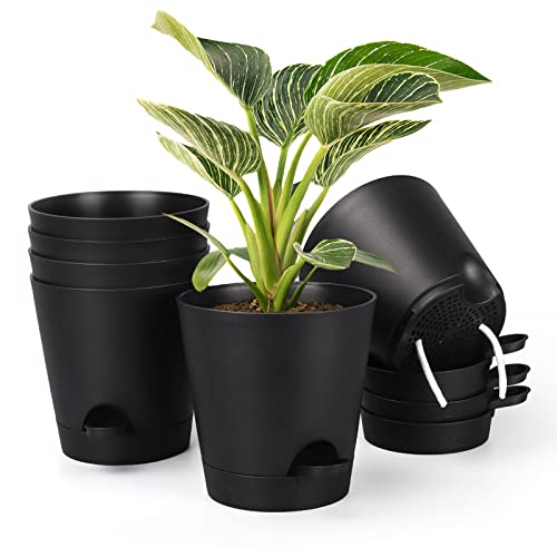 PETAFLOP Plastic Plant Pots Indoor, 6 Pack 6 Inch/15cm Self Watering Plant Pot with Drainage Hole, Saucers, Absorbent Rope and Watering Lip for House Plants, Black
