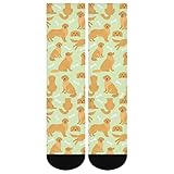 Calcetines transpirables: El material de nuestros calcetines altos es 95% poliéster + 5% spandex. Amigable con la piel y cómodo, buena sensación del pie, absorción de humedad y transpirabilidad, no es fácil de formar bolitas.