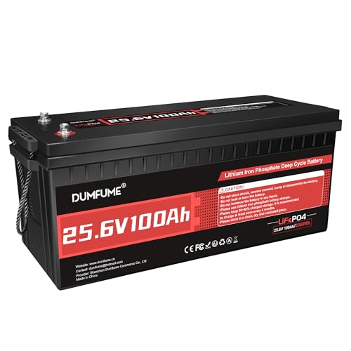 Dumfume Batería de Litio 24V 100Ah LiFePO4, BMS 100A Integrado, Potencia Salida 2560W, hasta 15000 Ciclos, Ideal para Vehículos Recreativos, Solar