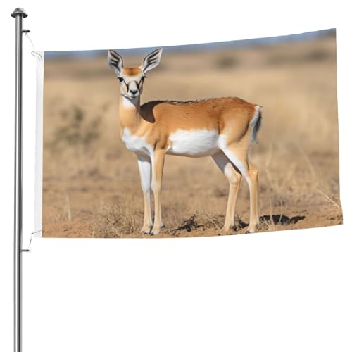 Drapeau double face 1,5x2,4 m pour une décoration intérieure extérieure