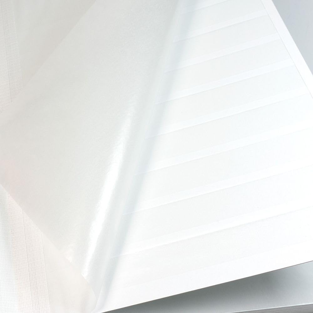 Lindner 1163 - R Einsteckbuch Standard-Rot