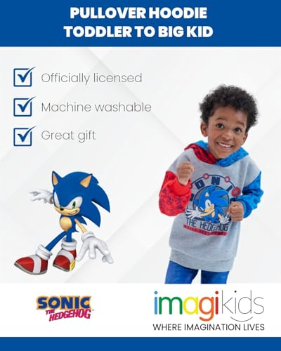 Image of SEGA Sonic the Hedgehog Boys' Fleece Hoodie Toddler to Big Kid