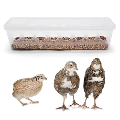 Button Quail Transparent Feeder Flip Top Seed Food Container (8 Holes)