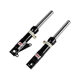 NCY Slammed Front Fork (All Black, Disc); Honda Ruckus