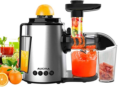 Entsafter Slow Juicer Leistungsstarker Entsafter für Obst und Gemüse Kältepresse für Sellerie, Ruhiger Motor & Umkehrfunktion & 2