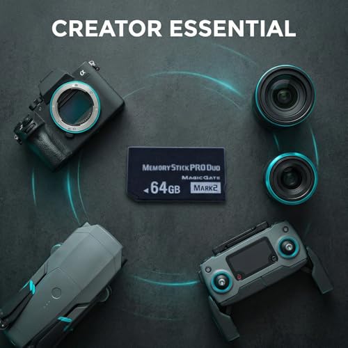 LILIWELL Original 64GB Memory Stick pro Duo (Mark2) for PSP Accessories Memory Card Camera Card by LILIWELL - Image 7