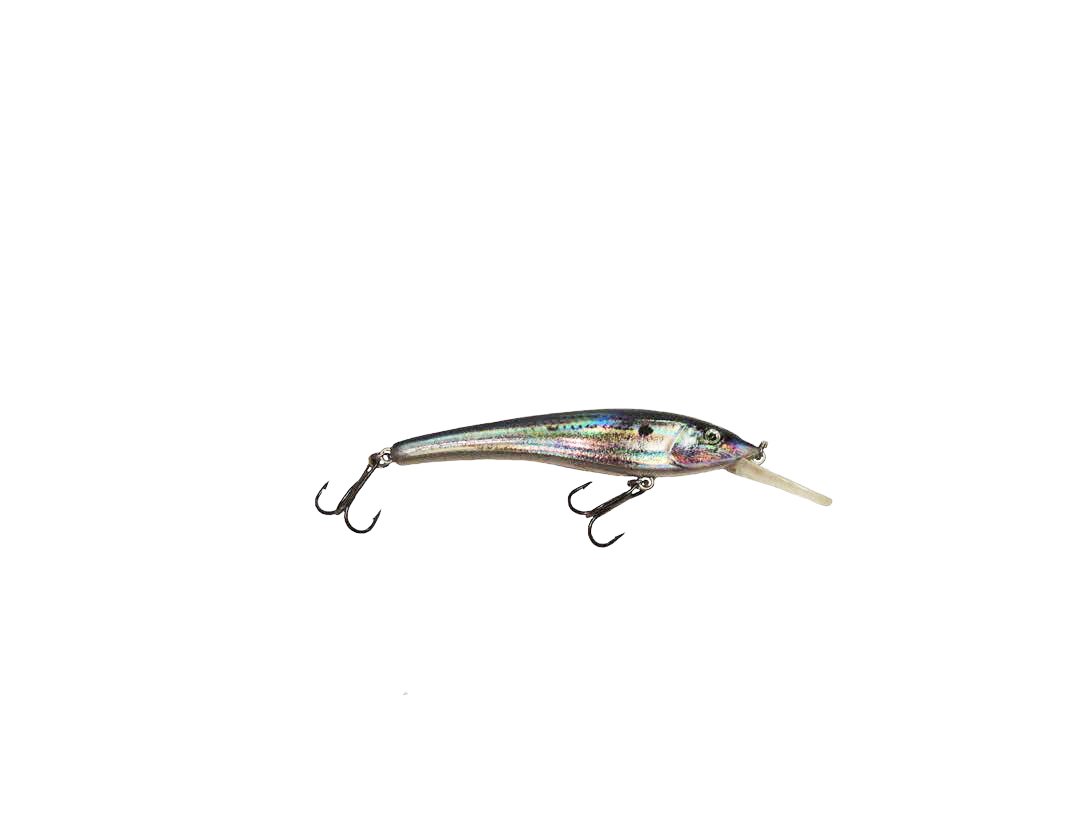 Buy Chasing Trophy Fish Lures Diving Shad StickBait, Blue/Silver, Medium Online at Low Prices in India