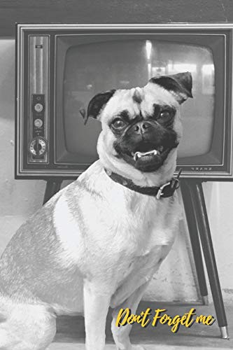 Don't Forget Me: Vintage Pug Dog and TV.Internet Password Logbook with alphabetical tabs.Personal Address of websites, usernames, passwords ... printed format.Size 6x9 inches