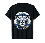 Lion Of Judah Jewish Pride Israel Flag