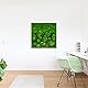 styleGREEN Moosbild Verlauf: Wald- und Kugelmoosbild Verlauf 80x80 cm
