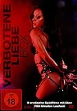 Verbotene Liebe Box [3 DVDs]