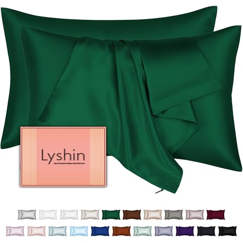 Mulberry Silk Pillow Cases 2 Pack Standard Size 20x26 Inches with Hidden Zipper, Ultra Smooth and Soft Breathable Cooling Silk Satin Pillowcase Set of 2, Better for Hair and Skin, Gifts for Women Men