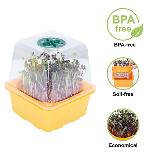 Microgreen Growing Trays, LUVCSOY Sprouting Tray with Humidity Dome, 3mm Large Mesh Holes, BPA Free, Sprouter Kit for Growing Large Seeds, Like Sunflower, Mung Beans, Green Pea - 4 Pack | Colorful